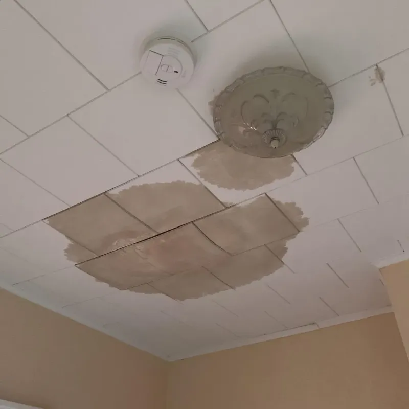 Ceiling Water Damage Repair in Larose, LA