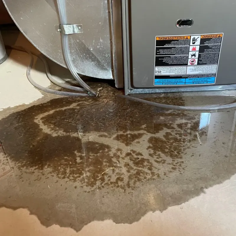 Pipe Burst and Leak Restoration in Larose, LA
