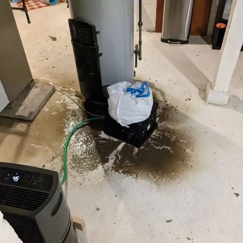 Sewage Backup Cleanup Service in Larose, LA